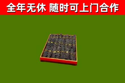 泸溪回收海参